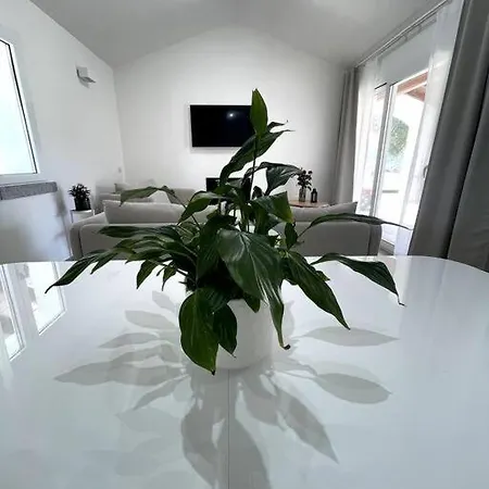 Ami Villa